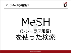 PubMed応用編2